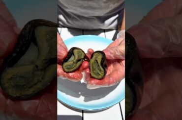 Grilled peppers, eggplants and tomatoes on the charcoal, mixed with preserved eggs, so delicious