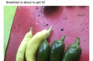 Just picked for breakfast!