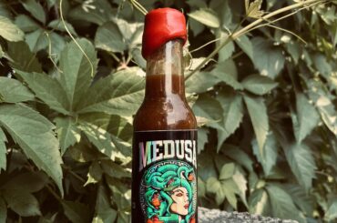 The Notorious Sauce - Medusa (New Version)