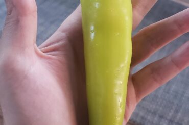 Harvested my first pepper I've ever grown, im proud lol