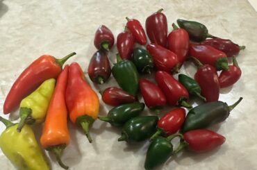 Curious to what peppers these are