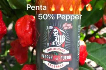 This is the only hot sauce I have found that hurts - I love it - carolina-reaper-hot-sauce