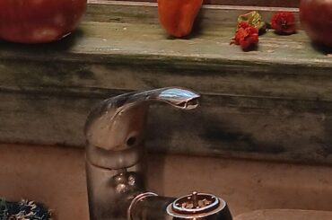 What kind of pepper is that?