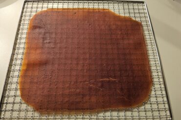 I sure hope this hot sauce is going to actually dehydrate. Looks like I'm making spicy leathers instead