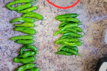 To pepperoncini or not...