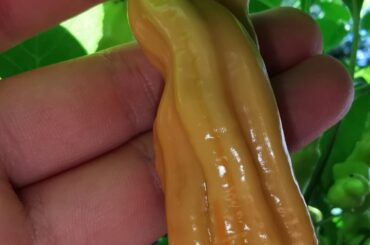 After the summer startet weak, something is happening