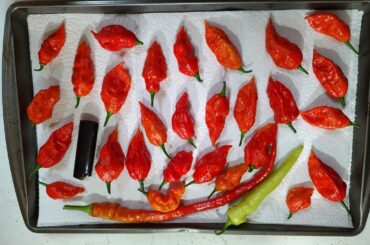 Small ghost harvest for powders