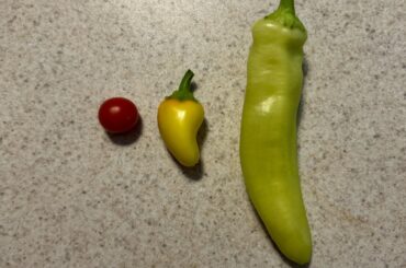 Tiny pepper