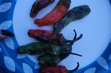 Tasty home grown snacks