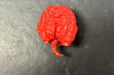 You know a pepper is spicy when it has it’s own dick to swing around.