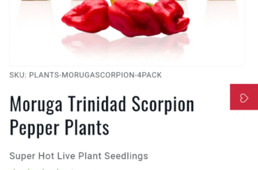Getting new moruga Trinidad scorpion peppers