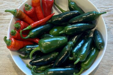 First Harvest of the Year