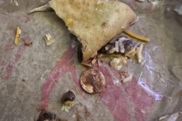 Found a penny in my Chalupa