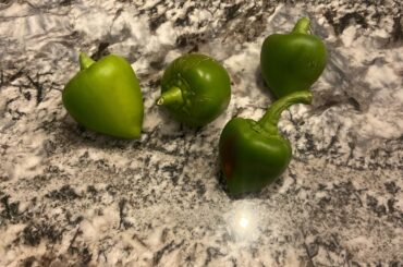Anyone know what type of pepper these are?