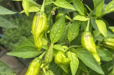 Should I be Concerned?