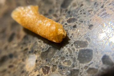 What is this that came in my loaded nachos?