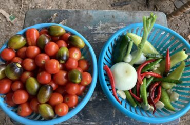 What am I missing. Thinking more green peppers, maybe more onion. Gonna be grilled with cherry wood. Lime/salt/pepper just before blend. Maybe I just need more peppers.