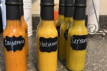Made my own fresh hot sauce.