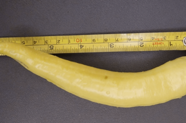 Sweet Banana Pepper