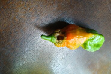 What eating my ghosts?