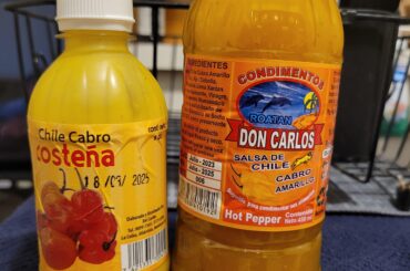 The only reason we check a bag to come home...