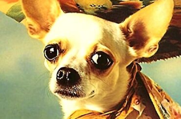 What is the current best item at Taco Bell?