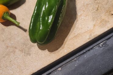 What pepper plant is this? Any thoughts?