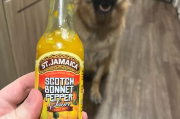 Thick, tangy, hot, good