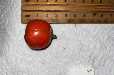 Pepper identification