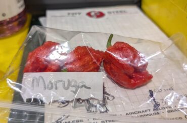 A coworker has a pepper garden and I reap the benefits...