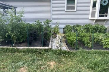 Garden Update