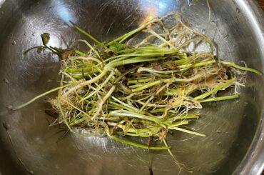 Are the roots of coriander/cilantro ever used in any region of Mexico?