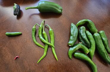 What are these peppers???