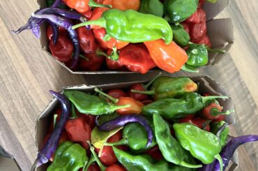 Happy weekend harvest