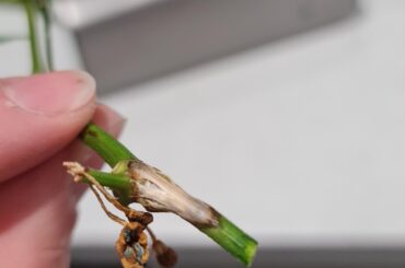 What's wrong and how do I fix