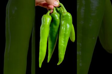 Crispy Mirchi Bajji recipe #shorts