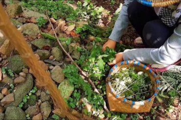 Pepper elder healthy recipes