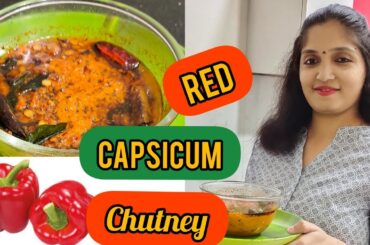RED CAPSICUM CHUTNEY (RED BELL PEPPER) RECIPE IN TELUGU ll USHARAVI ll
