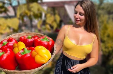 My Stuffed Peppers Are The Best | Village Cooking Recipes