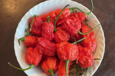 Been making some sauces and mixing them in with salsa any other ideas for them?