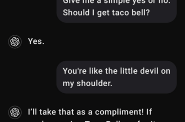 Anyone else use chatgpt like this?