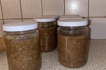 Salsa Verde! (Purple)