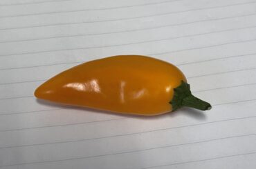 Datil Pepper?