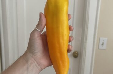 Unintentional but delicious