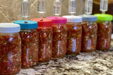 Lacto fermented salsa!