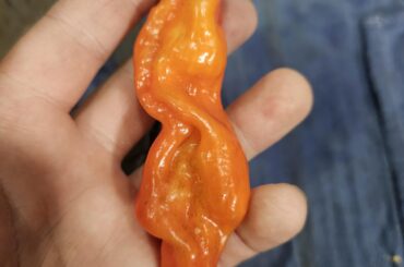 Check out this beauty