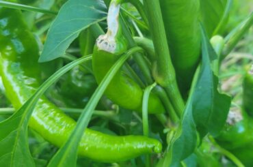 hmm...what is going on?