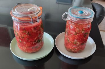 Fermented Salsa - just need to wait for a few days!