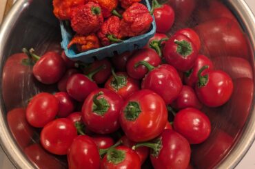 My haul today, reapers and time bombs (cherry bombs).