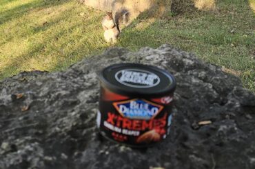 Hey there, Mr. Squirrel, how about some o' deez nuts?